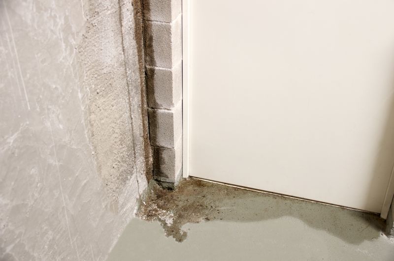 Moisture Damage in Basement