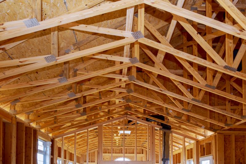 Roof Truss Framing in Conroe, TX
